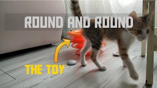 Cat Sheky is turning her toy round and round