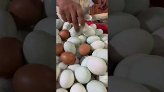 Selling  VIP Boiled Egg #FOODVXLSHORT #boiledegg #egg #eggselling #streetfood #foodie #shorts