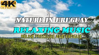 Nature In Uruquay (4K UHD) - Relaxing Music - Heals Stress, Anxiety And Eliminates Fatigue