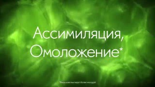 Серум Вежеталь – 1 год культовому антивозрастному Уходу!