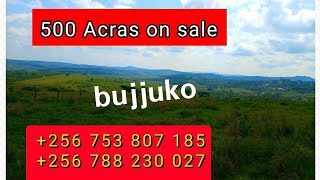 500 ACRES OF LAND FOR SALE IN BUJJUKO MITYANA RD UGANDA