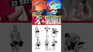 Best Biceps Home Workout Plan 💪 #workout #shoulderworkout #chestworkout #shorts #sixpack #biceps