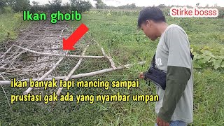 Ikan banyak mancing gak ada yang nyambar umpan !! Apakah ikan ghoib ??