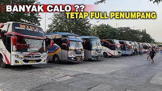 BANYAK CALO ❓ Kok Masih Di Serbu Penumpang ❓Terminal Bungurasih Surabaya