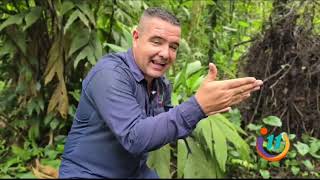 Descubra la Catarata Poza Azul: una belleza escondida en las montañas de Sarapiquí