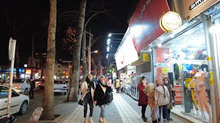 4k Walking Tour in Iran _ Lahijan Downtown Street walk ایران / لاهیجان