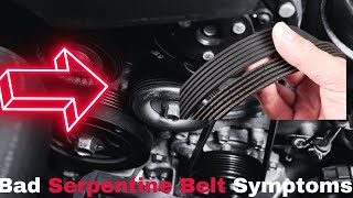 Bad Serpentine Belt Symptoms (6 Drive Belt Failure Signs)