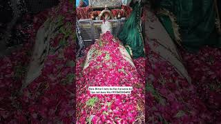 Mira datar dargah Urs stetus|whatsapp qawwali status|2024new qawwali|Famous qawwali|mira data