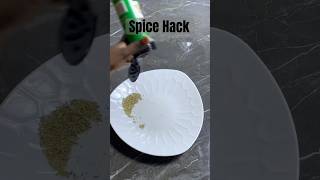 Here’s a Spice dispensing hack that works!!