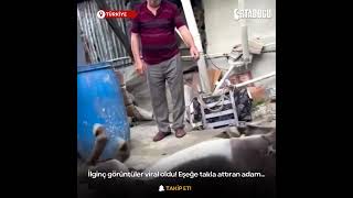 Eşeğe takla attıran adam...