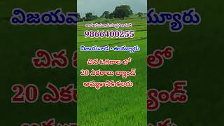 Land for Sale in China Ogirala | Vuyyuru | Vijayawada | Amaravathi | 9866400255 | #krishnadistrict