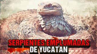 Tsukan : Serpientes Gigantes de Yucatán  | - Criptozoologia