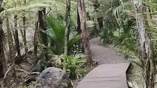 Kitekite Falls |  Track in West Auckland