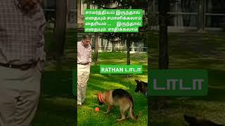 எல்லாவற்றையும் எப்படி சமாளிப்பது#shortyoutube #tamilmotivation#tamil  #shortsviral #shortfeed