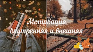 Мотивация:внутренняя и внешняя