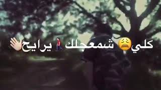 حالات واتساب بدون حقوق ❤سيد فاقد الموسوي💔ستوري حزين