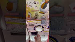 Nyanko-sensei #gacha #gachaclub #gachalife #satisfying #asmr #nyanko