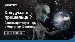 Как думают пришельцы? | Сквозь кротовую нору с Морганом Фрименом | Discovery