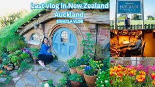 NEW ZEALAND TOUR/AUCKLAND/LORD OF THE RINGS MOVIE SET/HOBBITON MOVIE SET/LAST VLOG/SINHALA VLOG