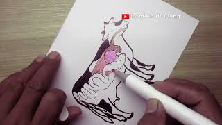 how to draw digestion of ruminansia