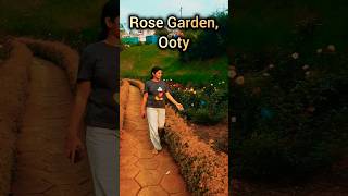 see this Rose Garden of Ooty, it's simply mesmerizing #shorts #rosegarden #Ooty