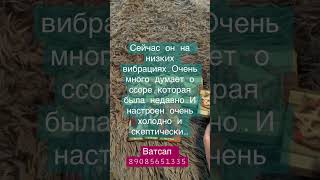 Чувства мужчины на данный момент.личные расклады Ватсап 89085651335