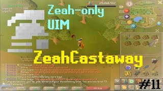 OSRS Zeah-only UIM [#11]