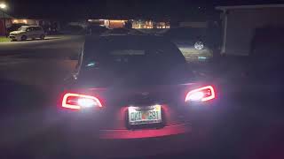 2019 Tesla Model 3 Performance Light Show