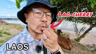 Laos Farm Tour & Loy Krathong On The Mekong | Escape From City Life (Vientiane)