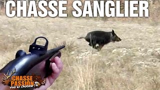 Chasse au sanglier - Nombreux tirs !