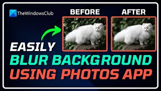 How to Remove BACKGROUND With Photos App in Windows 11 || BLUR Background  [Updated Feature]