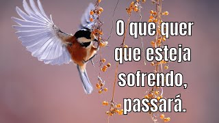 O mimo de Deus 🕊️ Linda mensagem de fé e esperança para você!