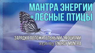 Мантра энергии + песни лесных птиц для медитации. Заряд положительных эмоций. Energy Mantra