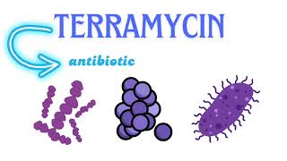 SCU-L2 Terramycin eye ointment