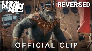 Kingdom of the Planet of the Apes | What a Wonderful Day | Reversed