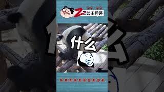 这乌鸦不讲武德 #搞笑评论 #搞笑 #搞笑视频 #抖音 #神评论