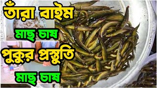 তাঁরা বাইম মাছ চাষ পদ্ধতি ও পুকুর প্রস্তুতি তাঁরা বাইম মাছের পোনা পোনা কিনুন