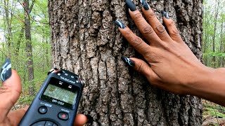 PUBLIC ASMR  | ASMR IN NATURE