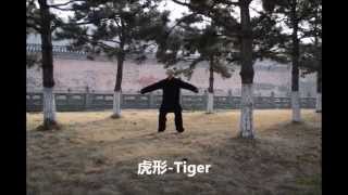 武当五形功 - wudang 5 Animals Qi Gong - 虎 tiger