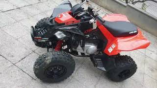 Can-Am Ds 250 2021