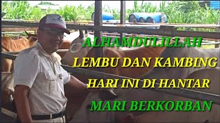 ALHAMDULILLAH HARI INI LEMBU DAN KAMBING SUDAH DIHANTAR#berqurban@DickyChannel151.