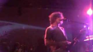 MGMT - The Handshake - Live The Echoplex