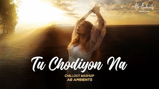 Tu Chodiyon Na x Choo lo Mashup | AB AMBIENTS | Baarishein