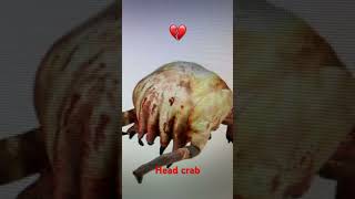 Head crab #halflife2 #memes #meme #shorts #short