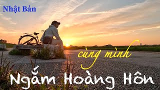 Cùng Mình Ngắm Hoàng Hôn | MoMo - Cuộc Sống Nhật Bản