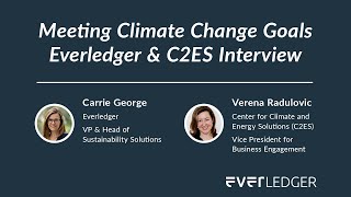 Meeting Climate Change Goals – Everledger & C2ES Interview