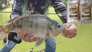 Lago Javari e massa de maracujá combinação perfeita