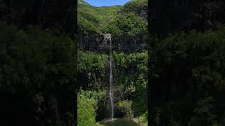 Have you ever hiked in Madeira? #hiking #waterfall #madeira #shorts