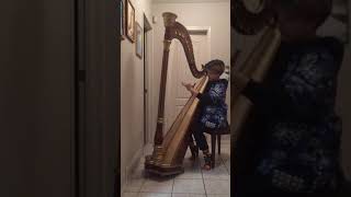 Finn practices Six Sonatines for Harp No.1