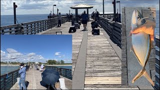 The Best Pier Fishing in South Florida  (Mangrove Snapper, Dania Beach Pier,  Fort Lauderdale area)